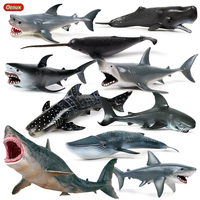 Kids Without Education - Oenux Kehidupan Laut Savage Megalodon Hiu