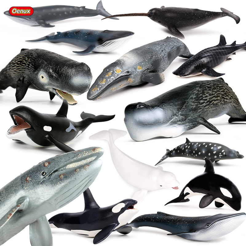 Kids Without Education - Oenux hewan laut Savage Megalodon Beluga