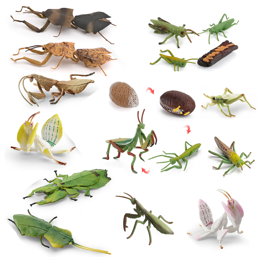 Kids Education Product - Model Figur Serangga Daun Raksasa Mantis