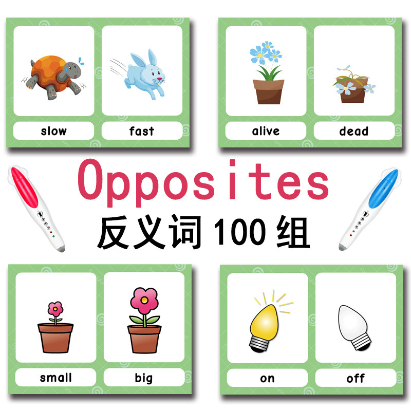 100 Kartu Flashcard Kata Bahas - Kids Education Product ulasan dan harga