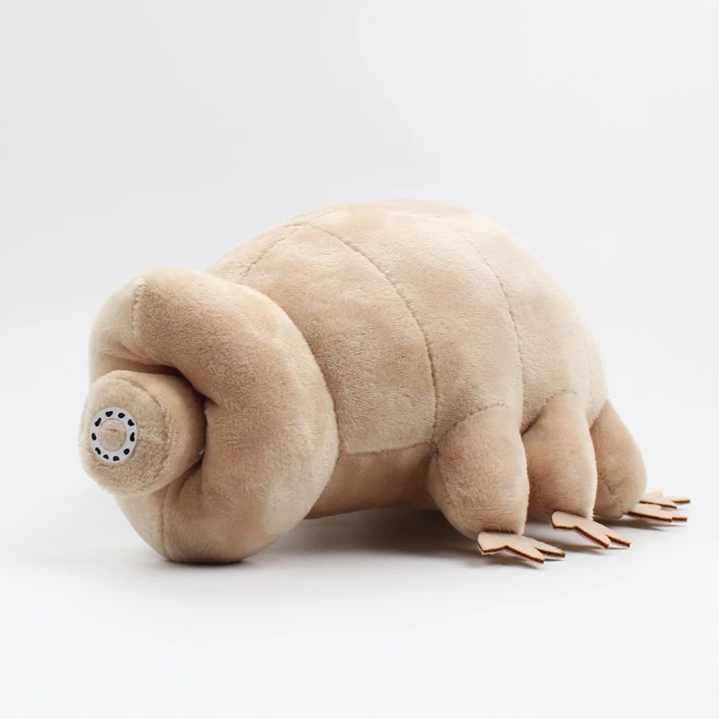 Boneka Tardigrade, mainan pend - Kids Education Movies ulasan dan harga