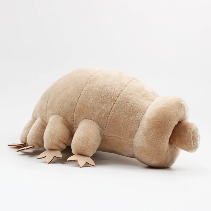 Boneka Tardigrade, mainan pend - Kids Education Movies ulasan dan harga