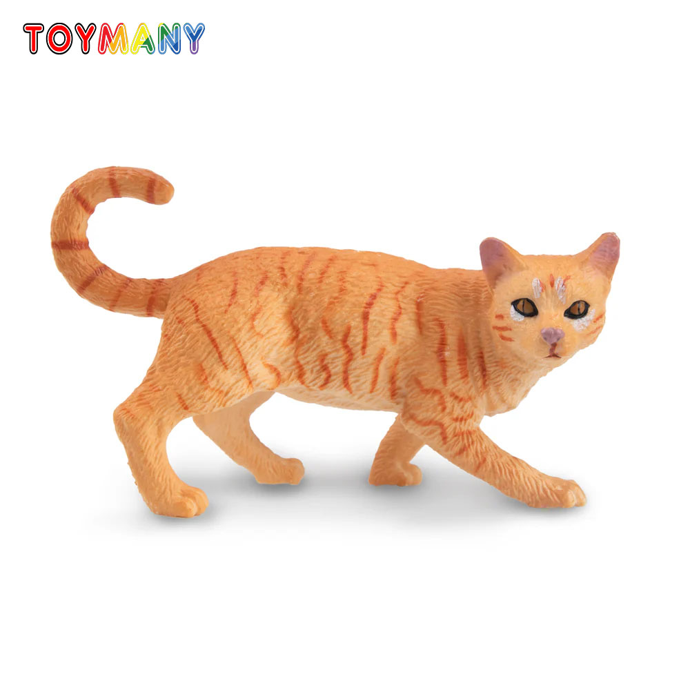 Toymany Mainan Model Hewan Pel - Kids Education Product ulasan dan harga