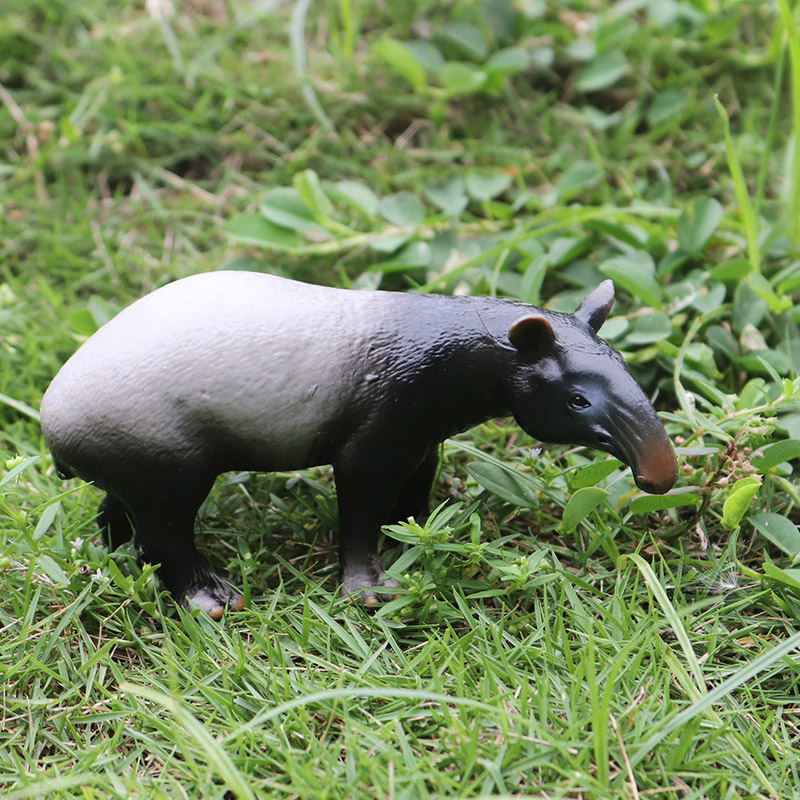 Oenux Babi Hutan Tapirus Indic - Kids Without Education ulasan dan harga
