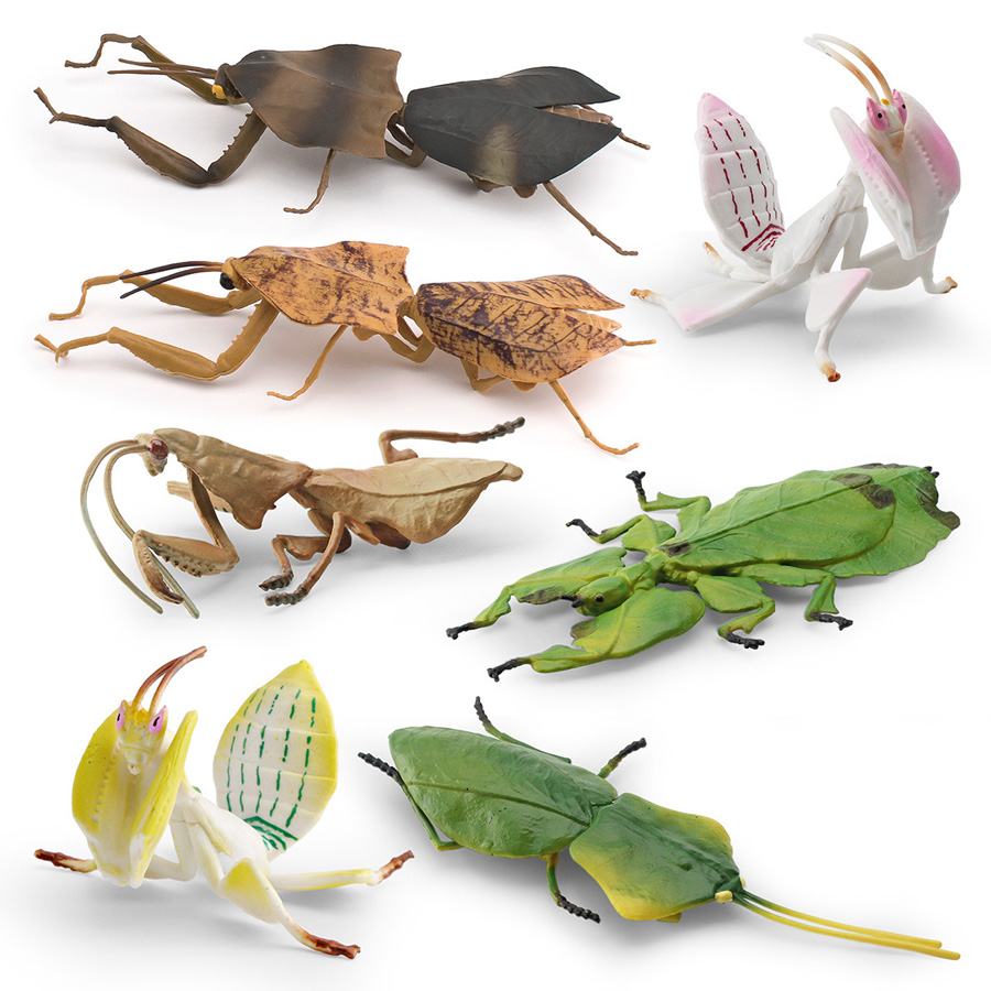 Model Figur Serangga Daun Raks - Kids Education Product ulasan dan harga