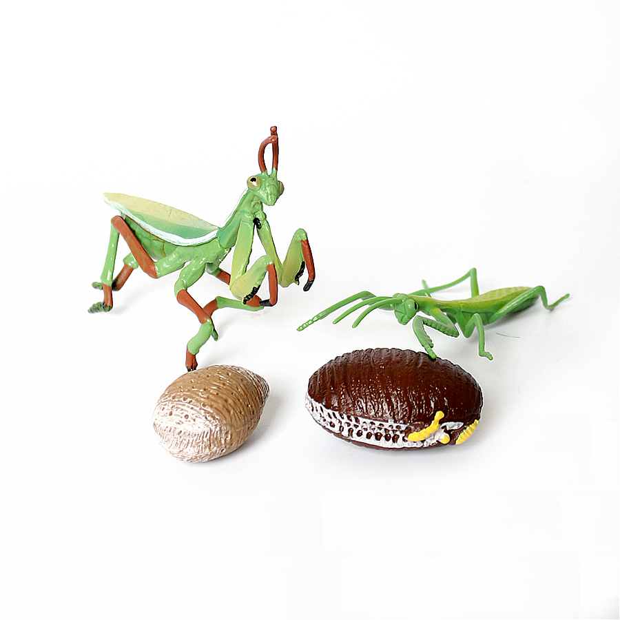 Model Figur Serangga Daun Raks - Kids Education Product ulasan dan harga